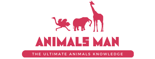 Animals Man logo