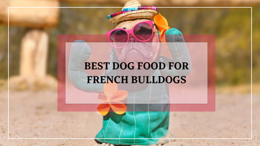 Best Dog Food for French Bulldogs: A Comprehensive Guide to Choosing the Right Nutrition