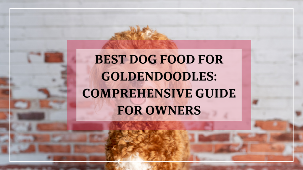 Best Dog Food for Goldendoodles