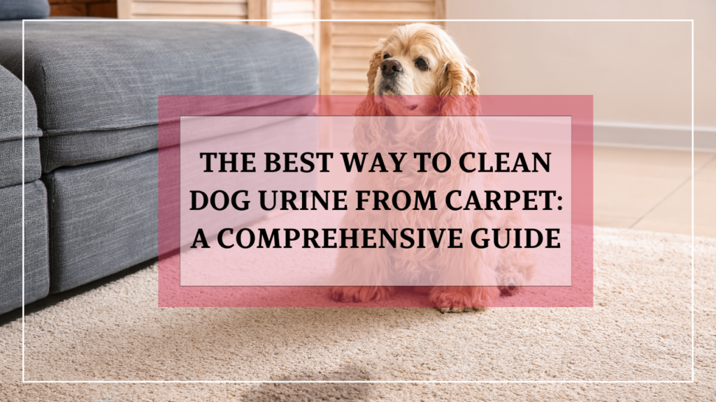 The Best Way to Clean Dog Urine from Carpet: A Comprehensive Guide