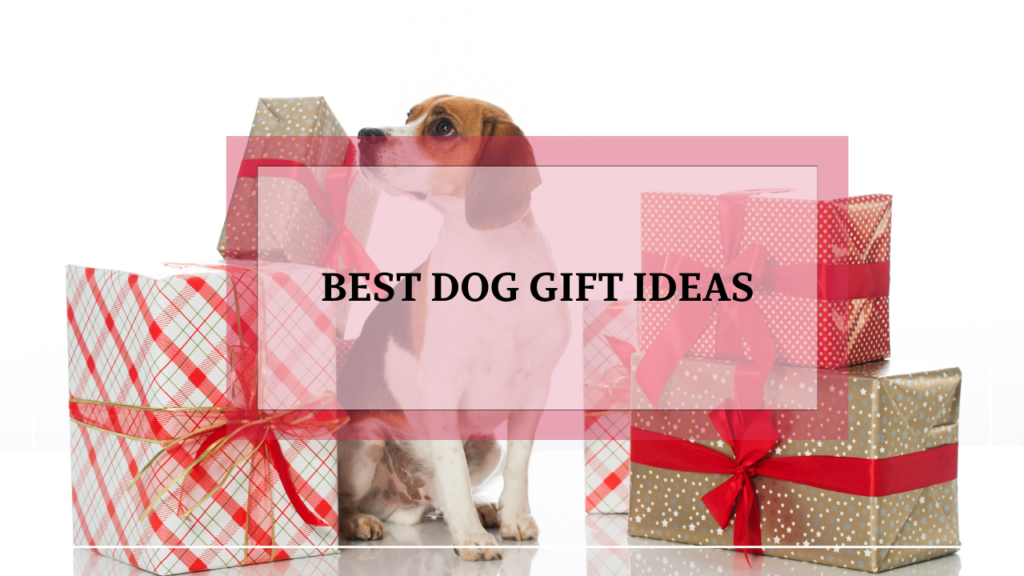 12 Best Dog Gift Ideas: Top Picks for Every Pooch