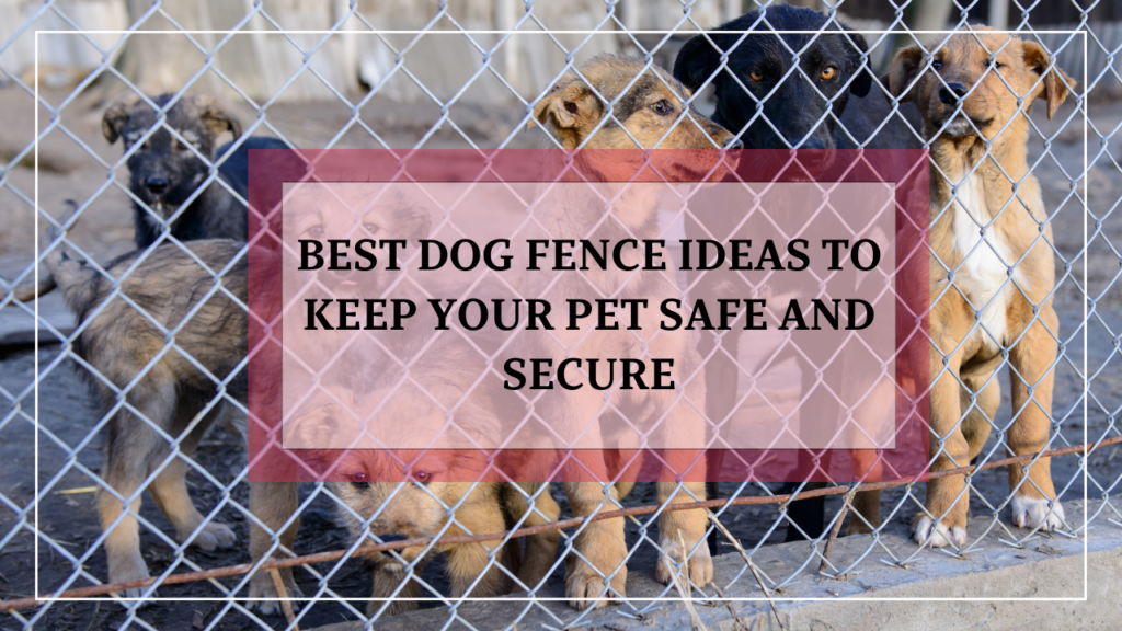 15 Best Dog Fence Ideas to Keep Your Pet Safe and Secure