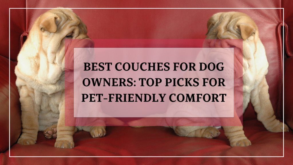 Best Couches for Dog Owners: Top Picks for Pet-Friendly Comfort