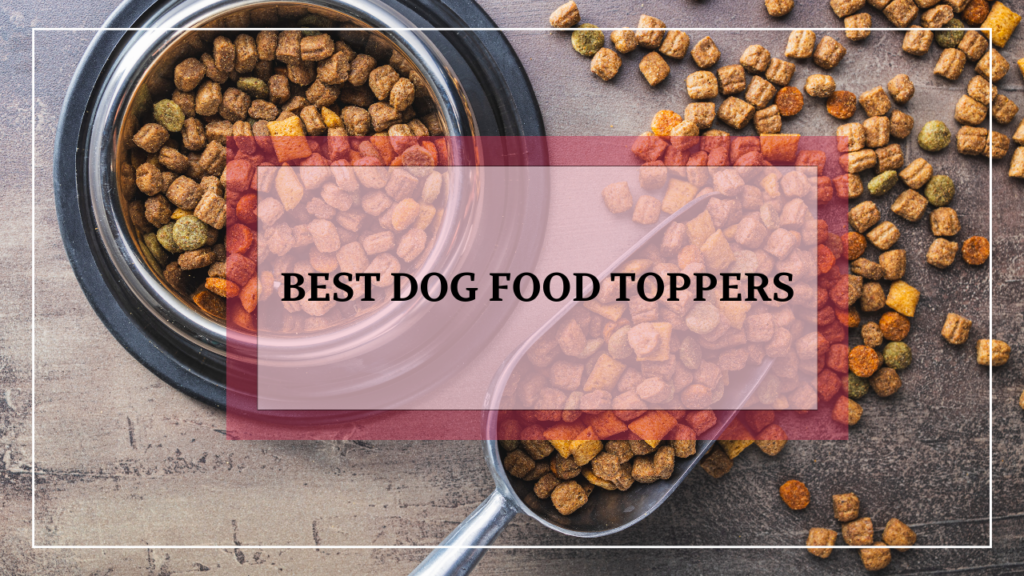 Best Dog Food Toppers: Enhance Your Dog’s Meals for Better Health and Happiness