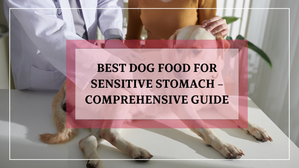 Best Dog Food for Sensitive Stomach