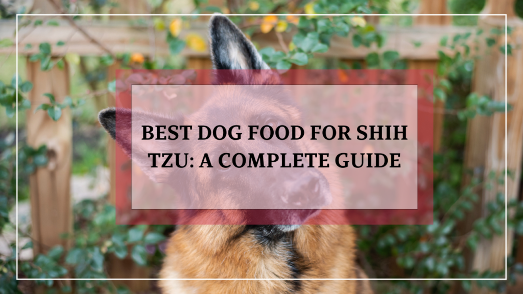 Best Dog Food for Shih Tzu: A Complete Guide to Meeting Your Shih Tzu's Nutritional Needs