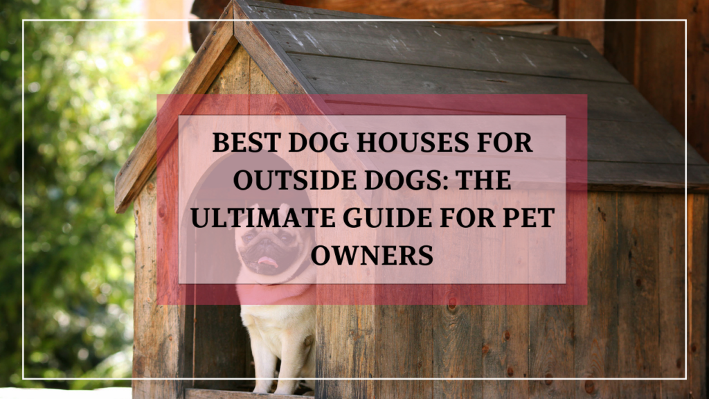 Best Dog Houses for Outside Dogs: The Ultimate Guide for Pet Owners