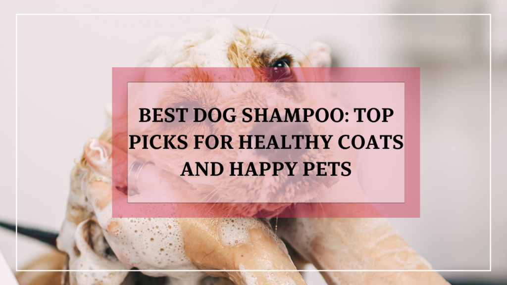 Best Dog Shampoo: Top Picks for Healthy Coats and Happy Pets