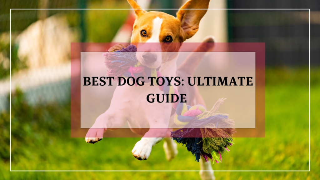 Best Dog Toys: Ultimate Guide to Choosing the Perfect Playthings for Your Pup