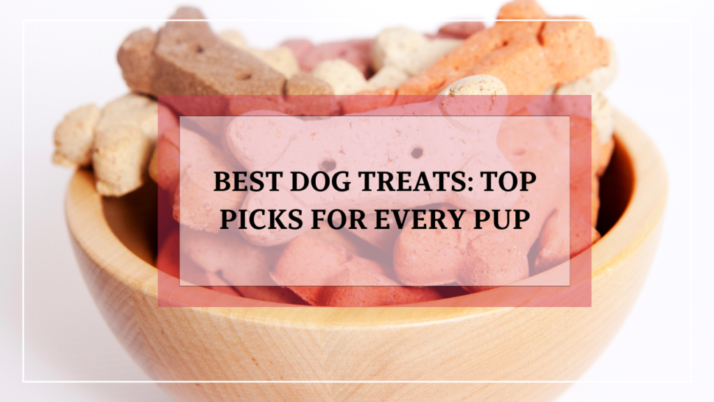 Best Dog Treats: Top Picks for Every Pup