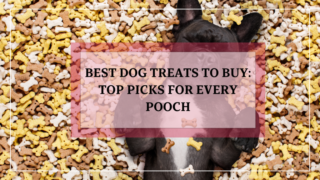 Best Dog Treats to Buy Top Picks for Every Pooch