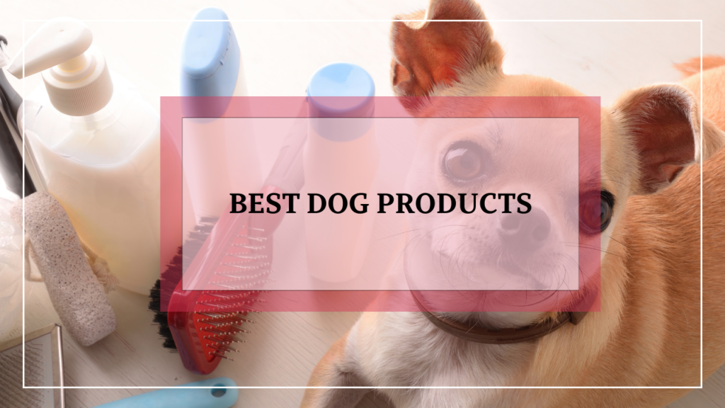 Best Dog Products for Every Dog Owner: Your Ultimate Guide