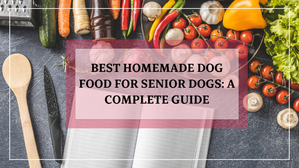 Best Homemade Dog Food for Senior Dogs: A Complete Guide