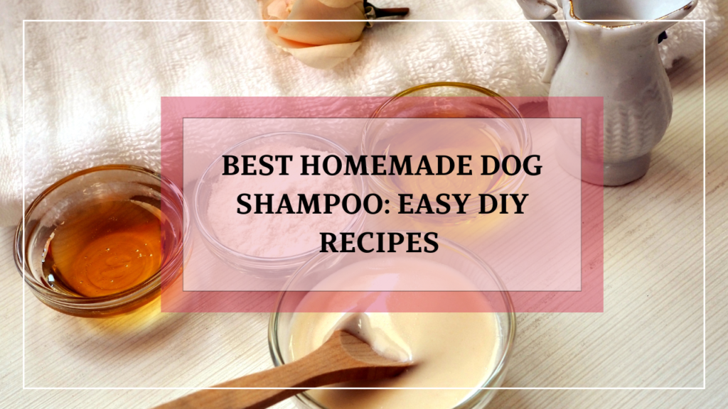 Best Homemade Dog Shampoo: Easy DIY Recipes and Tips for Your Dog's Skin and Coat