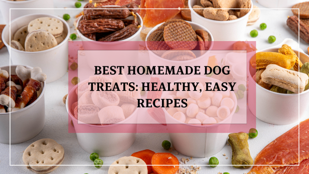 Best Homemade Dog Treats: Healthy, Easy Recipes for Your Furry Friend