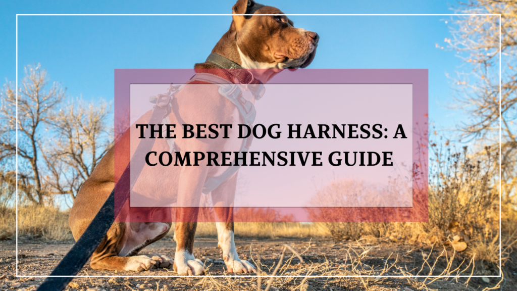 The Best Dog Harness: A Comprehensive Guide to Finding the Perfect Fit for Your Pup