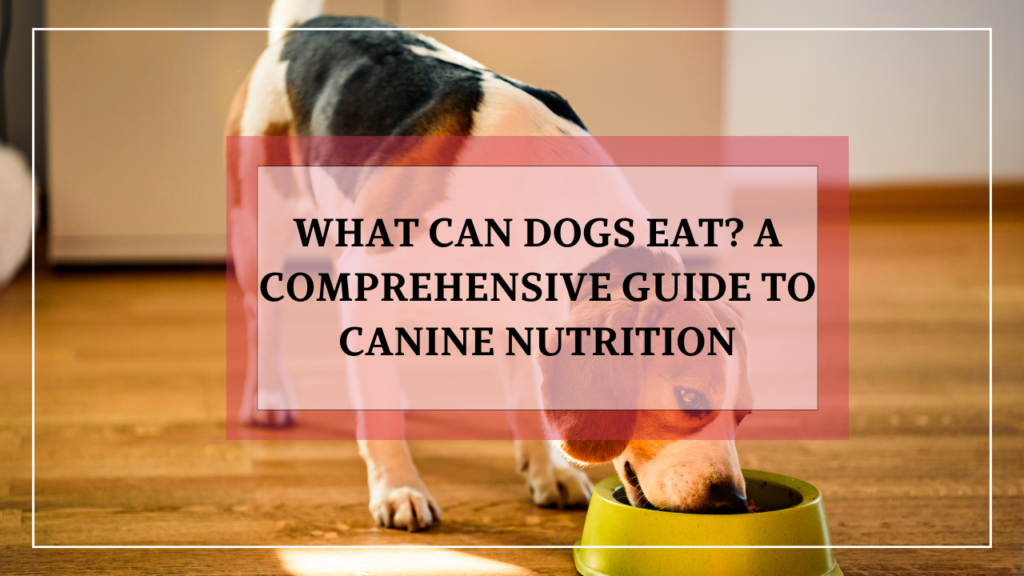 What Can Dogs Eat? A Comprehensive Guide to Canine Nutrition