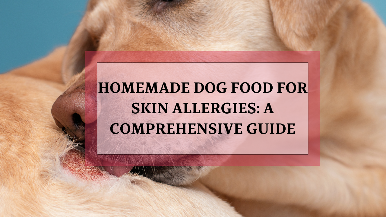 Top 5 Wet Cat Foods for Skin Allergies: A Vet-Approved Guide