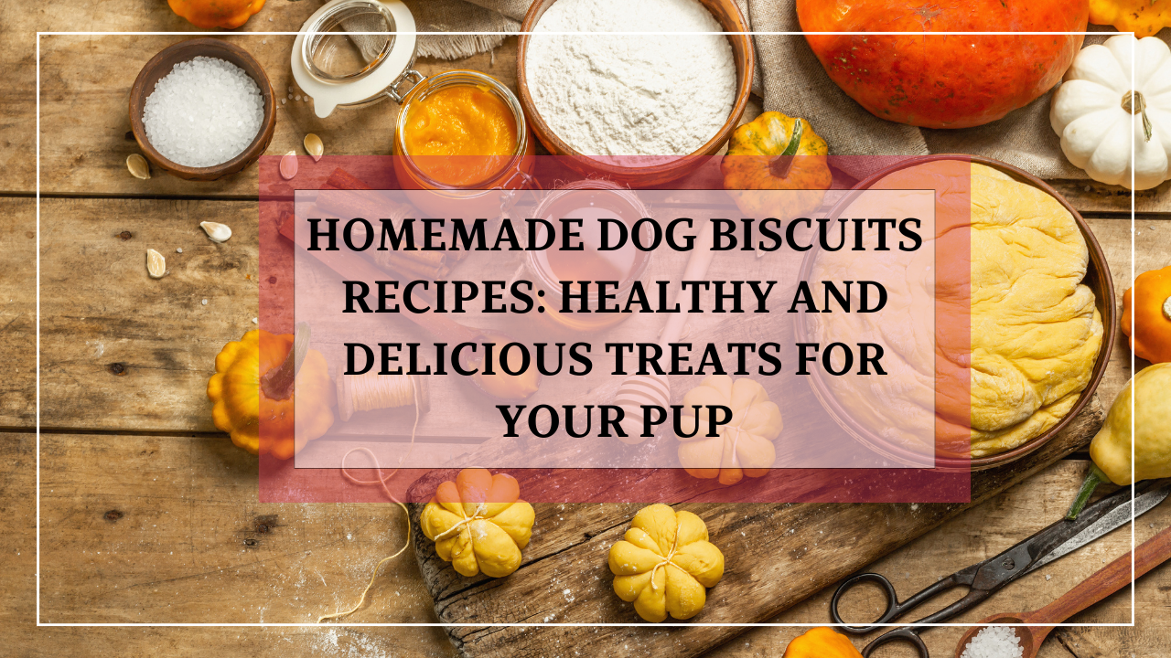 Curated visual reference: Dog Biscuit Ingredients With Grapes Reference: The Only Homemade Dog Biscuit Recipe You Ll Ever Need