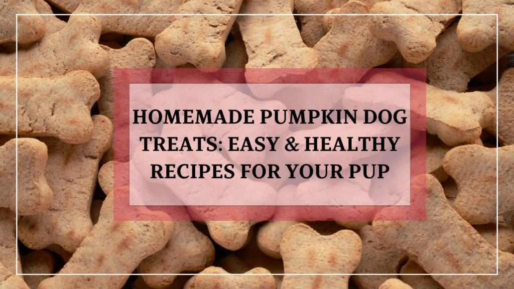 Homemade Pumpkin Dog Treats: Easy & Healthy Recipes for Your Pup