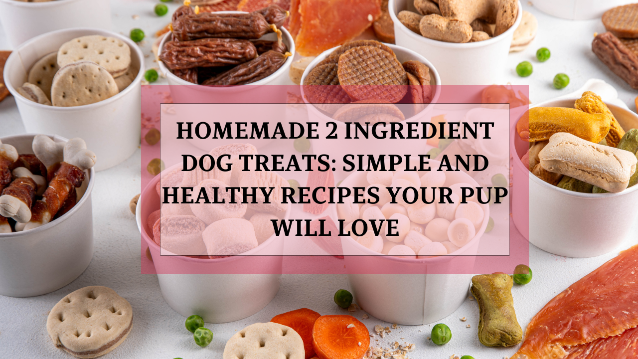HOMEMADE DOG TREATS SIMPLE RECIPES YOUR PUP WILL LOVE intelligence overview