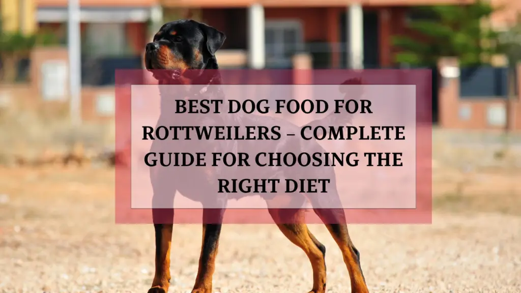 Best Dog Food for Rottweilers – Complete Guide for Choosing the Right Diet