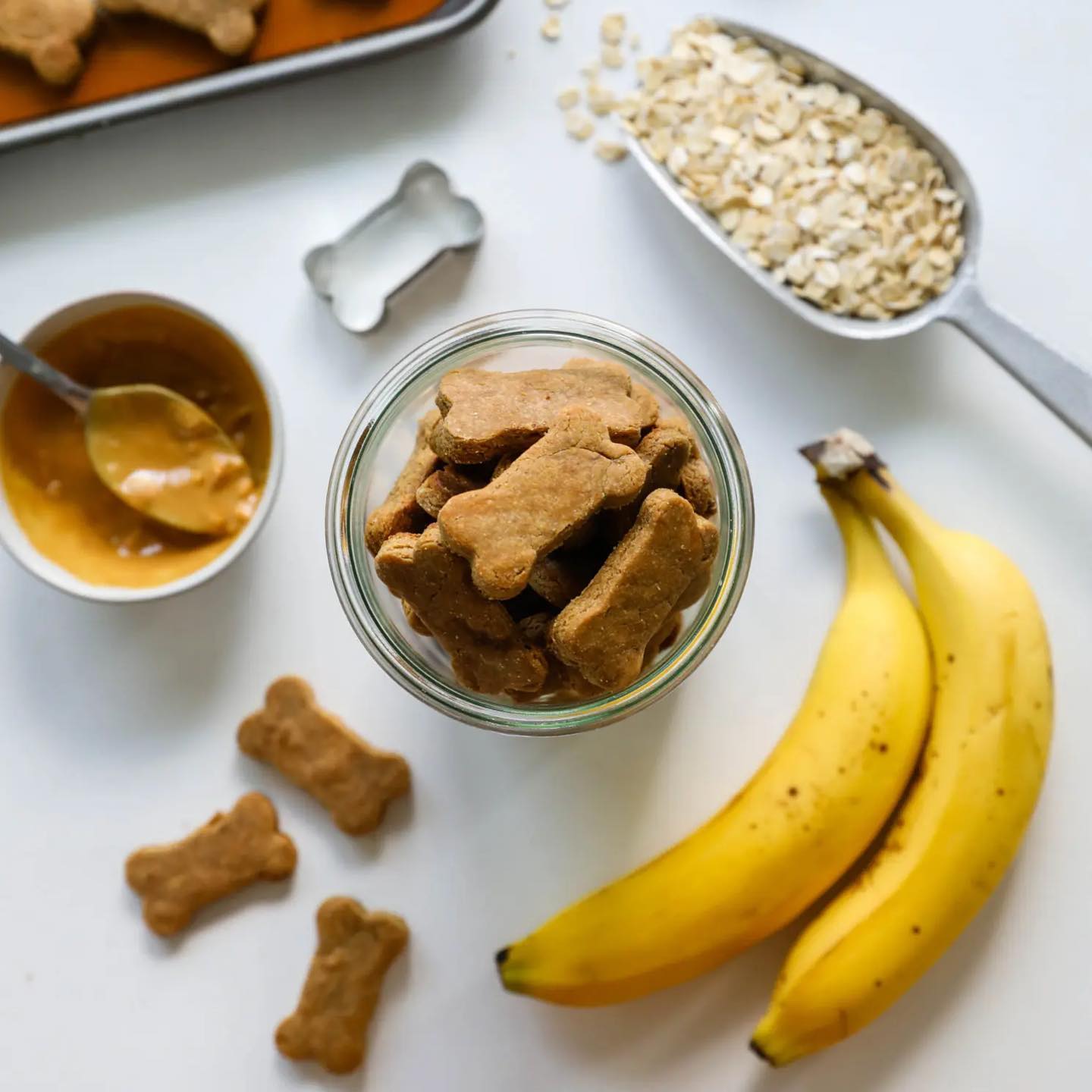 Got a Ripe Banana? Turn It Into These 5-Minute Dog Treats - Animalsman