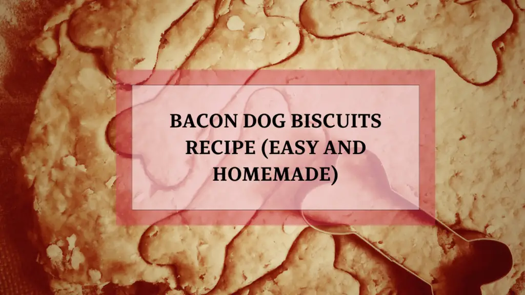 Bacon Dog Biscuits Recipe (Easy and Homemade)