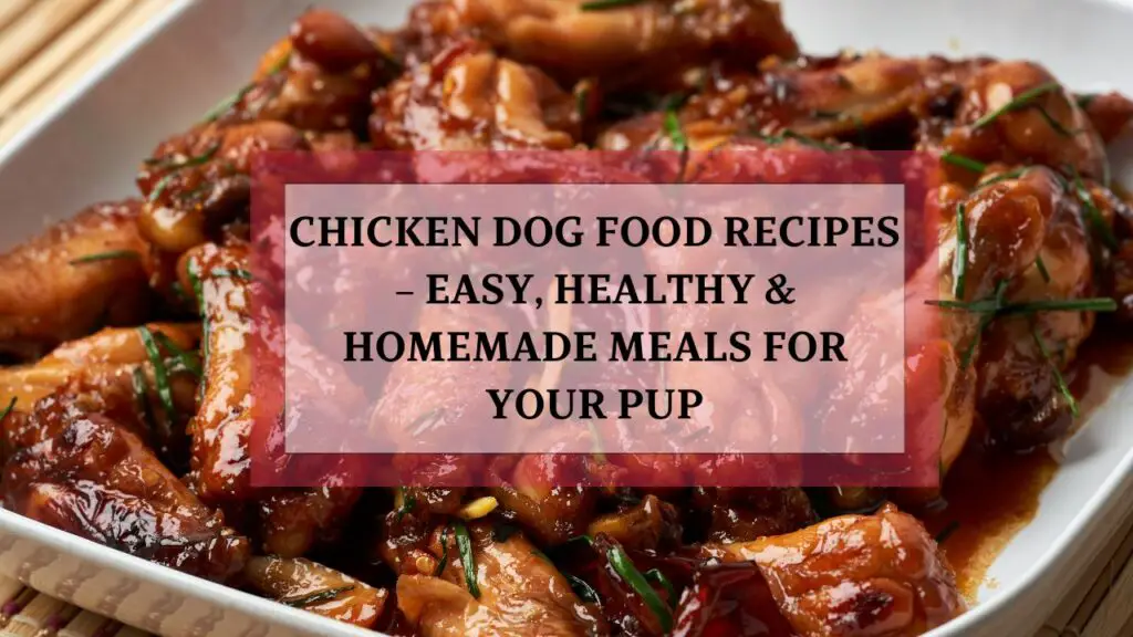 Chicken Dog Food Recipes – Easy, Healthy & Homemade Meals for Your Pup