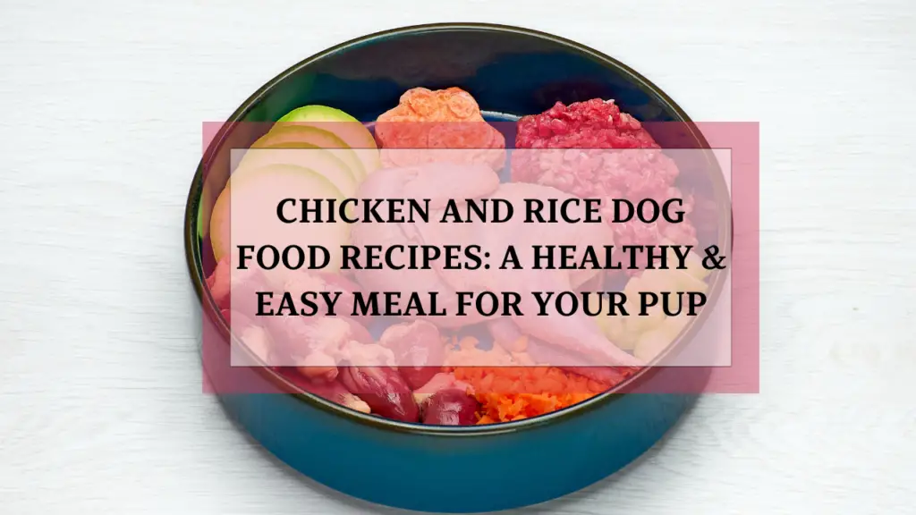 Chicken and Rice Dog Food Recipes: A Healthy & Easy Meal for Your Pup