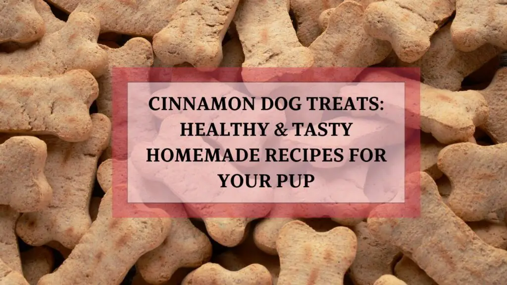 Cinnamon Dog Treats Healthy & Tasty Homemade Recipes for Your Pup