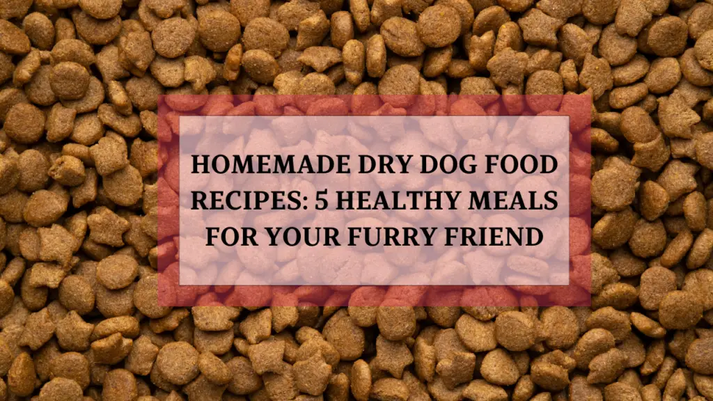 Homemade Dry Dog Food Recipes 5 Healthy Meals for Your Furry Friend