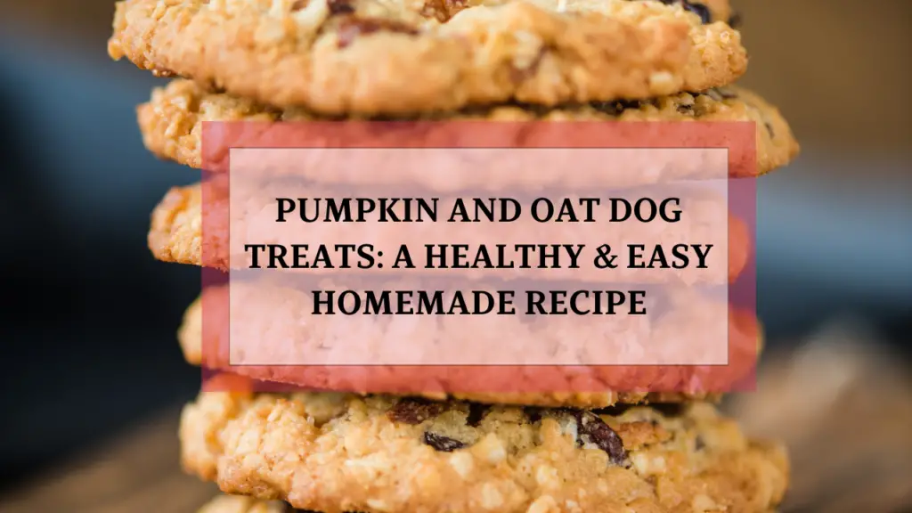 Making homemade dog treats is one of the best ways to ensure your furry friend gets healthy, nutritious, and delicious snacks without harmful additives. Pumpkin and oat dog treats are an excellent choice for pet owners looking for a simple, wholesome, and budget-friendly option. These treats are not only easy to make but also packed with nutrients that support digestion, skin health, and energy levels. Whether you have a senior dog with a sensitive stomach or an active pup that loves crunchy snacks, pumpkin and oat dog treats are a great choice. In this guide, you’ll learn everything about these homemade treats, including their benefits, recipes, storage tips, variations, and expert answers to common questions. Why Make Pumpkin and Oat Dog Treats at Home? Many commercial dog treats contain preservatives, artificial flavors, fillers, and excess sugar that can be harmful in the long run. Making homemade pumpkin and oat dog treats ensures your pet gets only healthy, natural ingredients with added benefits. Key Benefits of Homemade Treats Control Over Ingredients: You decide what goes into your dog’s treats, avoiding harmful additives. Cost-Effective: Making treats at home is cheaper than store-bought options, especially for large breeds. Healthier Option: Homemade treats contain natural fibers, vitamins, and minerals that support digestion and overall health. Allergy-Friendly: You can customize the recipe for dogs with grain, dairy, or protein sensitivities. Comparison: Store-Bought vs. Homemade Treats Feature Store-Bought Treats Homemade Pumpkin and Oat Treats Ingredients Preservatives, fillers, artificial flavors 100% natural (pumpkin, oats, peanut butter, etc.) Cost Expensive over time Budget-friendly Nutritional Value May contain unhealthy fats and sugar Packed with fiber, vitamins, and minerals Shelf Life Long but due to preservatives Shorter but chemical-free Are Pumpkin and Oat Dog Treats Good for Dogs? Yes! Pumpkin and oats are two of the healthiest ingredients for dogs. Here’s why: Health Benefits of Pumpkin for Dogs Supports Digestion: Pumpkin is rich in fiber, which helps with both constipation and diarrhea. Gut Health: Acts as a natural prebiotic, promoting beneficial gut bacteria. High in Vitamins: Contains vitamins A, C, and E, which support immunity, skin, and eye health. Low-Calorie: Great for weight management while keeping dogs full. Health Benefits of Oats for Dogs Great for Sensitive Stomachs: Oats are a gentle grain that’s easy to digest. Rich in Nutrients: Provides B vitamins, iron, and magnesium for energy and muscle function. Supports Heart Health: Contains soluble fiber, which helps maintain cholesterol levels. Gluten-Free Alternative: A good grain option for dogs allergic to wheat. Fact: According to the American Kennel Club (AKC), oats are an excellent carbohydrate source for dogs, providing energy without spiking blood sugar levels. Simple Homemade Pumpkin and Oat Dog Treat Recipe Ingredients You’ll Need: 1 cup pumpkin puree (fresh or canned, but NOT pumpkin pie filling) 2 cups oats (whole or ground into flour) 1 egg (optional, for binding) 1 tbsp peanut butter (make sure it's xylitol-free) 1 tsp cinnamon (optional, for flavor) Step-by-Step Instructions: Preheat oven to 350°F (175°C) and line a baking sheet with parchment paper. Grind oats into a fine flour using a blender (optional for a smoother dough). Mix all ingredients in a bowl until a thick dough forms. Roll out the dough and cut into fun shapes using cookie cutters. Bake for 20-25 minutes until firm. Cool completely before serving. Recipe Variations: Soft Pumpkin and Oat Dog Treats: Add more pumpkin and bake for a shorter time. Crunchy Dog Biscuits: Bake for an extra 5 minutes for a crispier texture. Frozen Pumpkin and Oat Dog Treats: Freeze spoonfuls of dough instead of baking. How to Store Homemade Pumpkin and Oat Dog Treats Since these treats don’t contain preservatives, proper storage is key: Room Temperature: Store in an airtight container for 5-7 days. Refrigerator: Lasts up to 2 weeks. Freezer: Can be frozen for up to 3 months. Tip: Always check for mold or an off smell before giving your dog stored treats. Frequently Asked Questions About Pumpkin and Oat Dog Treats Can I Use Instant Oats Instead of Rolled Oats? Yes, but rolled oats are better as they are less processed and contain more fiber. How Many Pumpkin and Oat Treats Can I Give My Dog? Treats should be no more than 10% of your dog’s daily calories. Are These Treats Safe for Puppies? Yes! Just make smaller portions and monitor digestion. Can I Add Other Ingredients? Yes! Try banana, apple puree, or flaxseeds for added nutrition. Final Thoughts: Why Your Dog Will Love These Pumpkin and Oat Treats Pumpkin and oat dog treats are a nutritious, affordable, and easy-to-make snack that supports your dog’s health. Whether your pet loves soft treats or crunchy biscuits, you can customize this recipe to fit their preferences. Give these homemade treats a try and watch your dog enjoy every bite! If you love making healthy dog treats, share your favorite recipes in the comments! 🐶