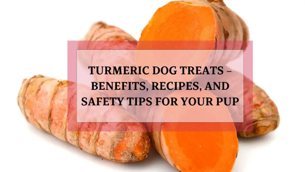 Turmeric Dog Treats – Benefits, Recipes, and Safety Tips for Your Pup