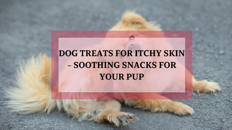 Dog Treats for Itchy Skin – Soothing Snacks for Your Pup - Animalsman