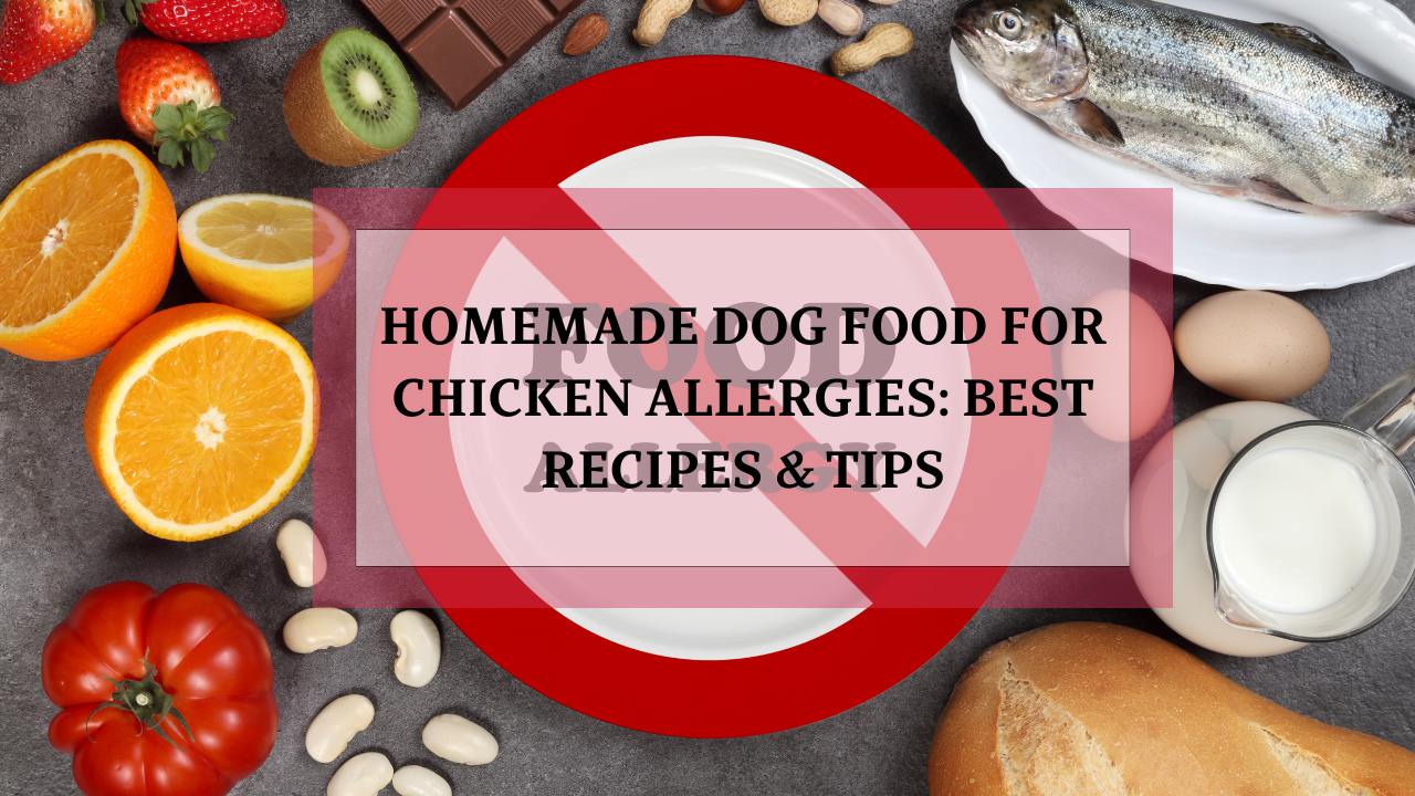 homemade-dog-food-for-chicken-allergies-best-recipes-tips-animalsman