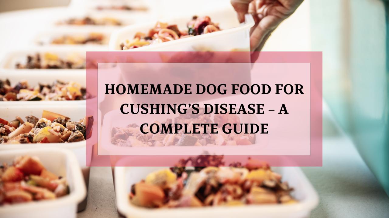 Snapshot of Cushing'S Disease In Small Breeds And Grain Free Food