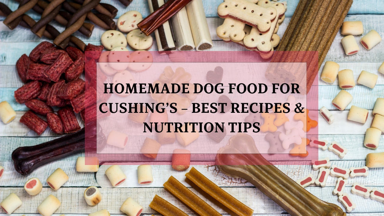 Homemade Dog Food for Cushing’s – Best Recipes & Nutrition Tips ... - Cushing'S Disease In Small Breeds And Grain Free Food