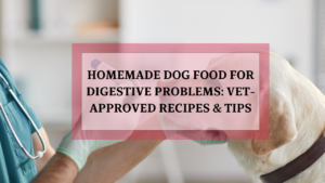 View of Homemade Dog Food for Digestive Problems: Vet-Approved Recipes & Tips ...