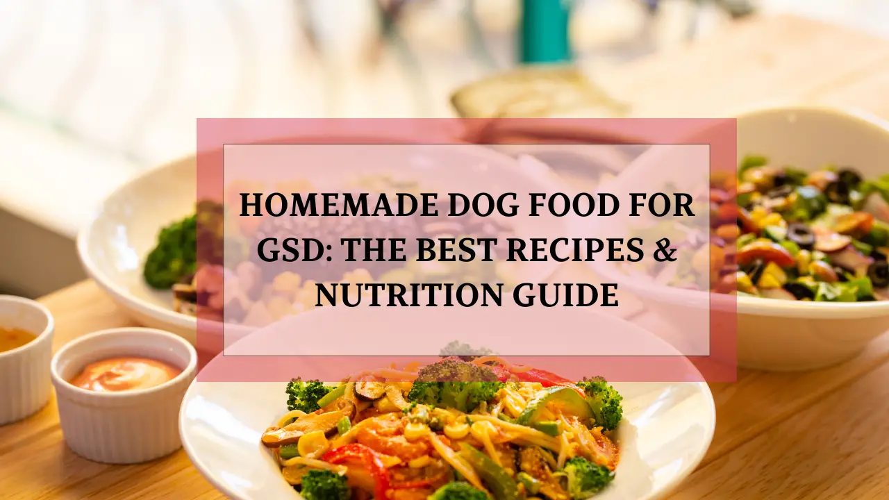 Homemade Dog Food for GSD: The Best Recipes & Nutrition Guide - Animalsman