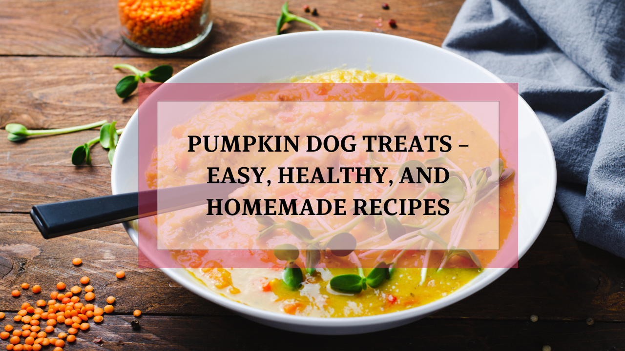 Pumpkin Dog Treats Easy Healthy And Homemade Recipes Animalsman Pumpkin Dog Treats - Easy Healthy And Homemade Recipes