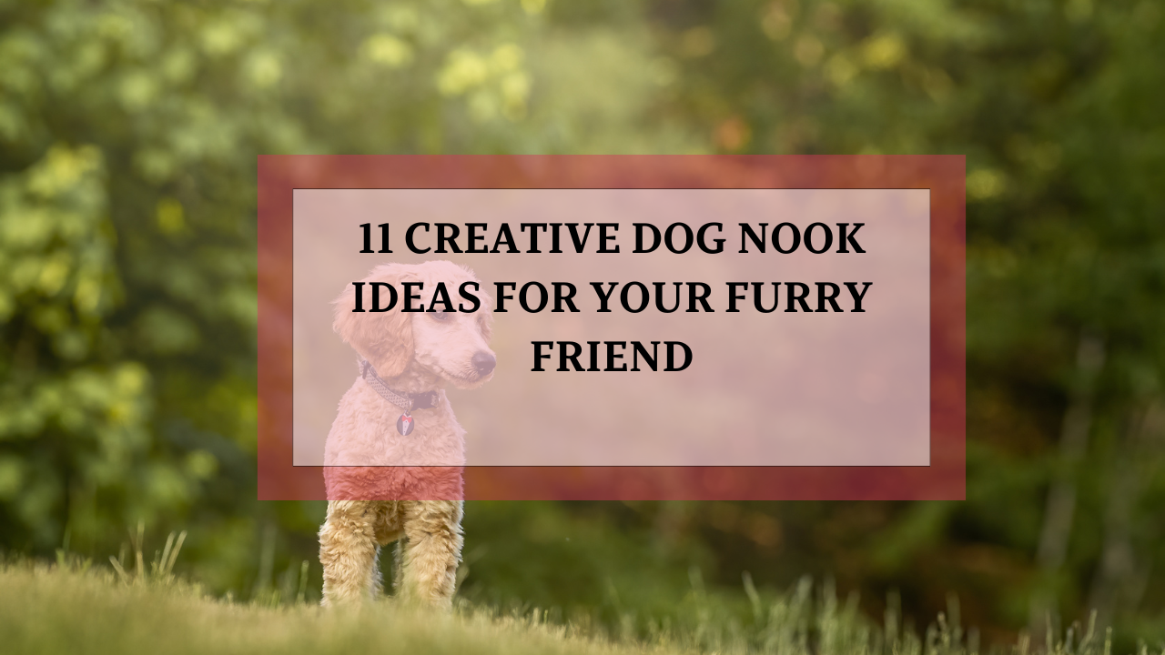 Image showcasing 11 Creative Dog Nook Ideas for Your Furry Friend - Animalsman