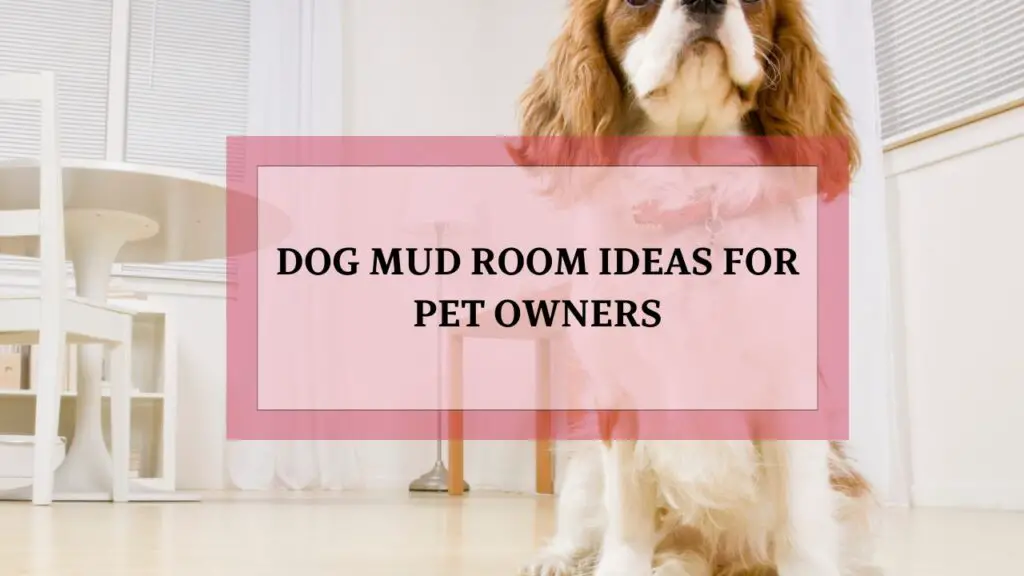 Dog Mud Room ideas