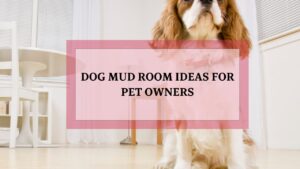 Dog Mud Room ideas