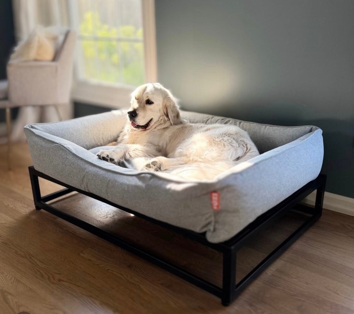 14 Creative DIY Elevated Dog Bed Ideas You'll Love - Animalsman