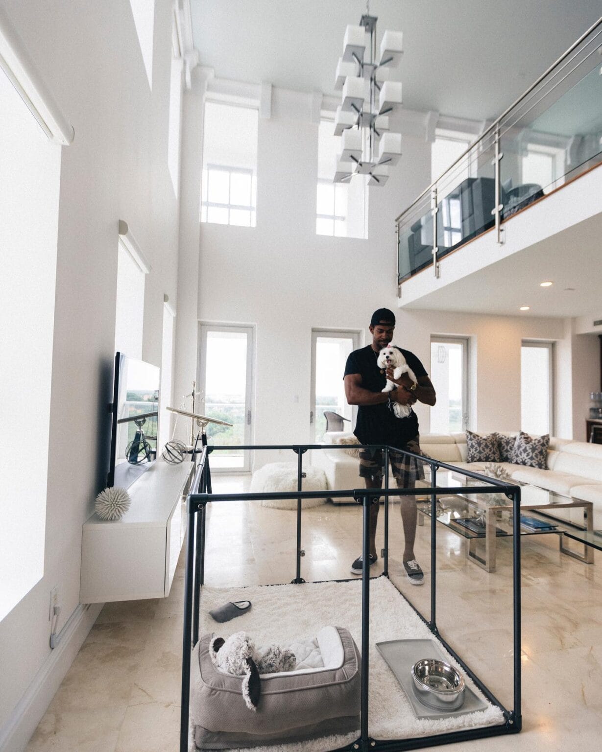 Visual Reference: 17 Large Dog Crate Ideas That Don T Dominate Your