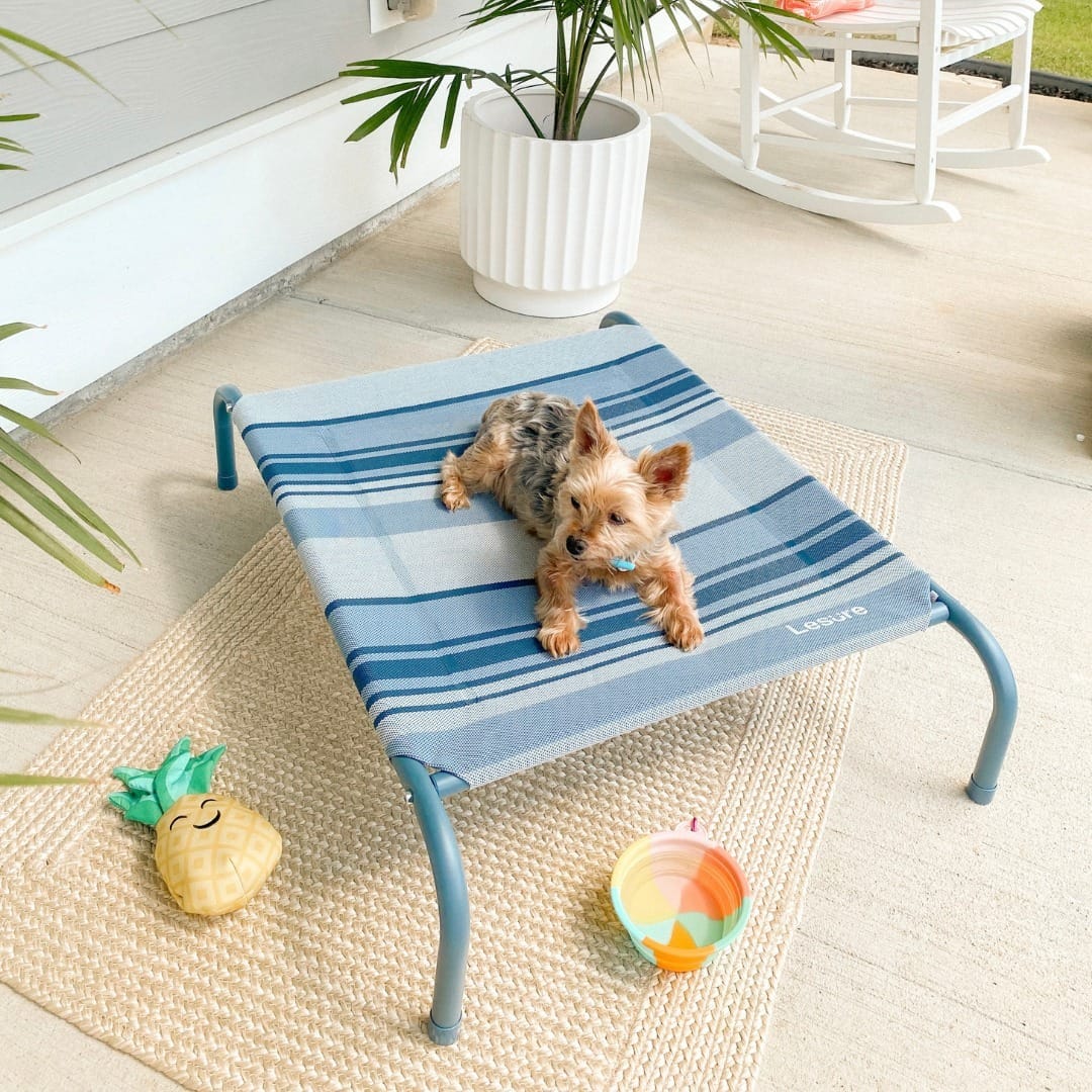 14 Elevated Dog Beds You Can Build for Less Than $30 - Animalsman
