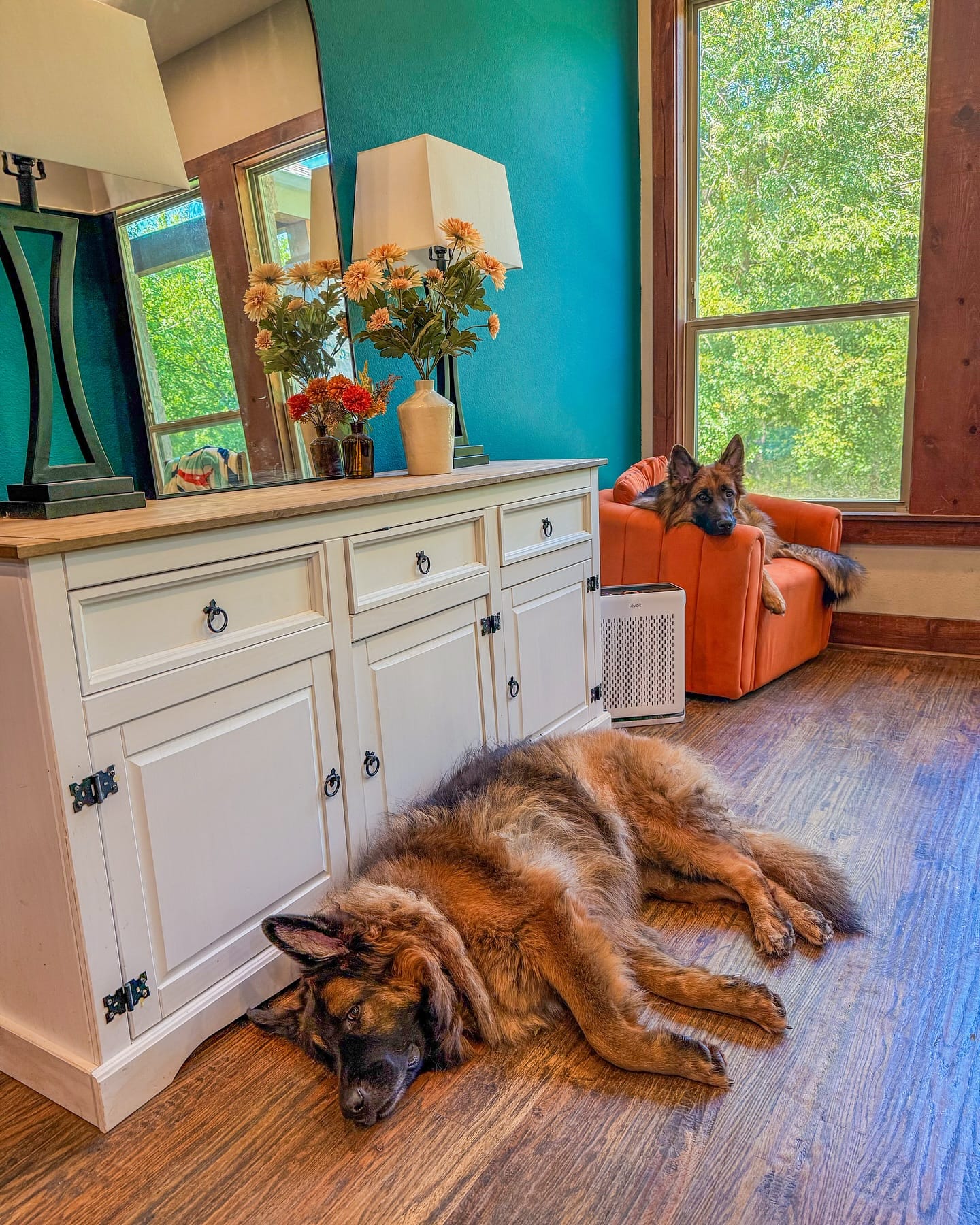 Curated Creative Oversized Dog Crate Ideas Gallery View 31