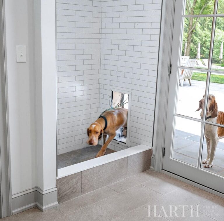 11 Creative Dog Areas to Create in Your Home Spaces - Animalsman