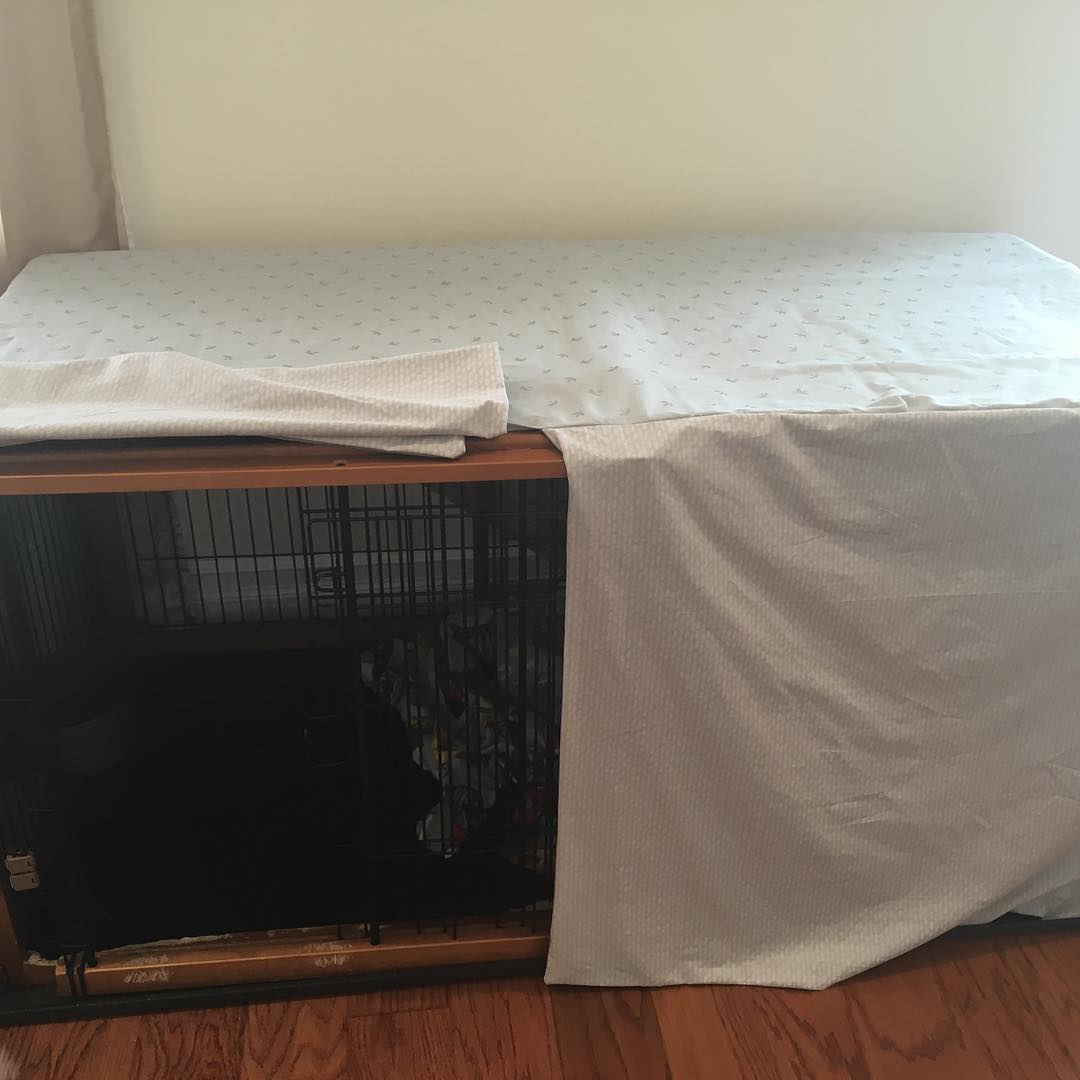 10 DIY Dog Crate Covers That Transform an Eyesore Into Home Decor ...